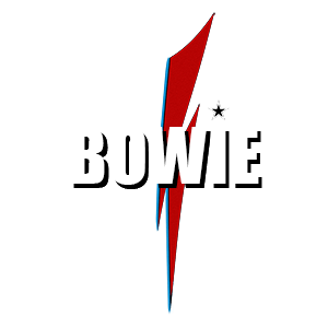 the BOWIE tribute